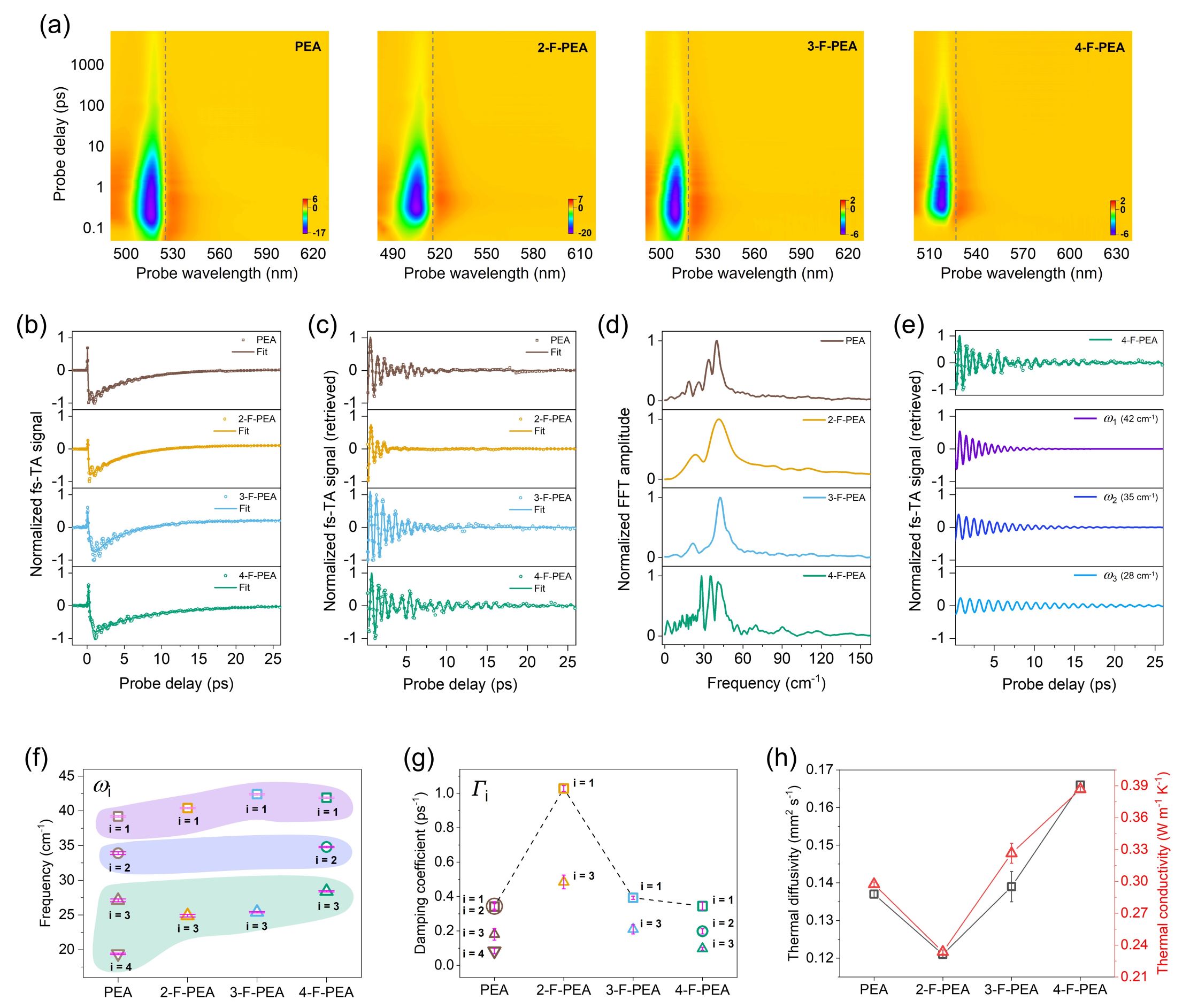 二維雜化有機無機鈣鈦礦